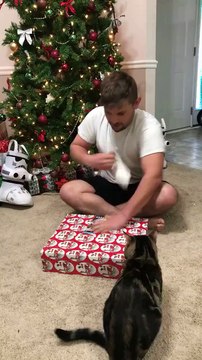 Il se fait attaquer par son chat alors qu'il ouvre son cadeau de noël
