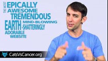 Lutter contre le cancer en regardant des vidéos de chats