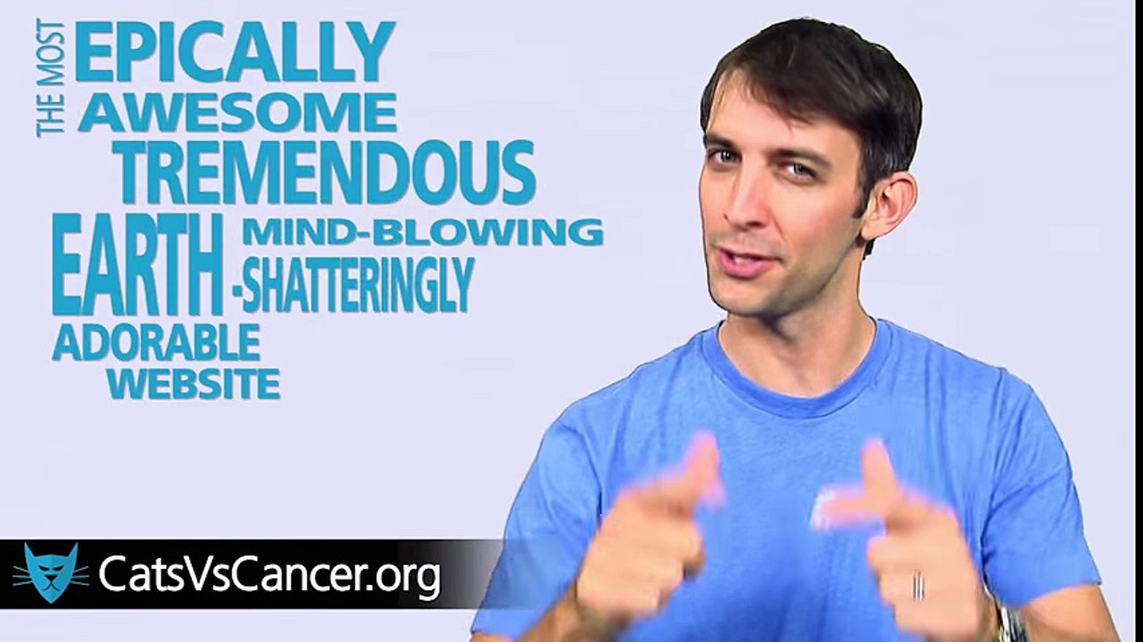 Lutter contre le cancer en regardant des vidéos de chats