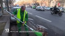 Recyclage : les feuilles mortes aussi