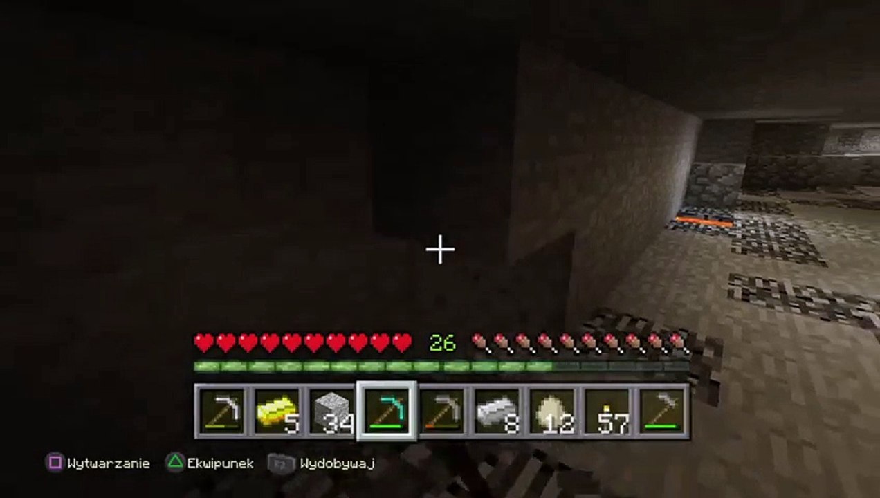 Minecraft (21)
