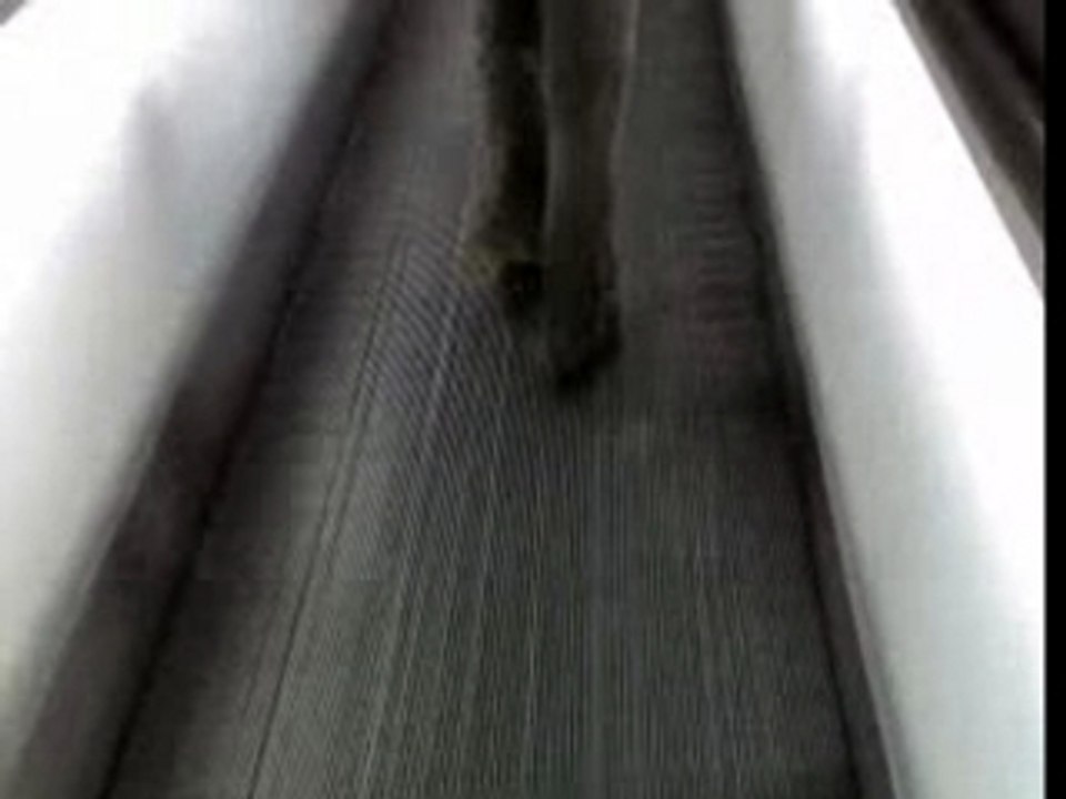 mec  tapis roulant