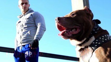 Bodybuilding Motivation - PIT BULL GENETICS - NO EXCUSES