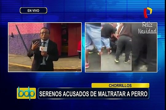 Chorrillos: acusan a serenos de maltratar a perro
