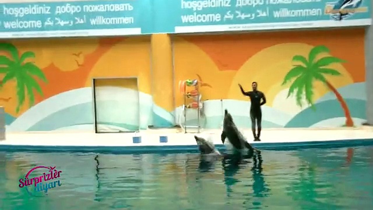 Yunus Gösterisinde Evlenme Teklifi Sürprizler Diyarı Organizasyon