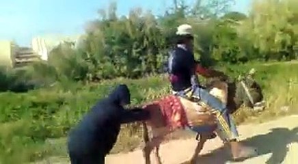 TA TA TA !Let's GOoooooooooooooooo..............