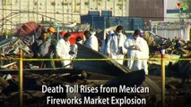 Death Toll Rises from Mexican Fireworks Market Explosion