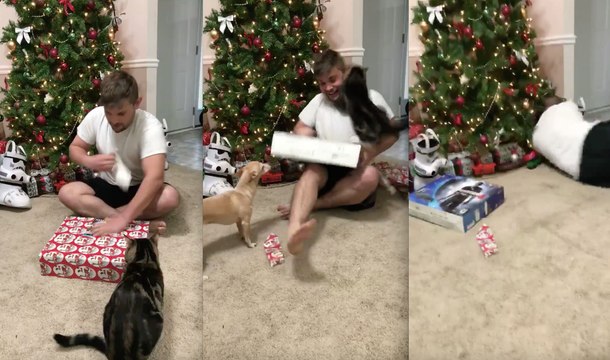 Son chat l'attaque alors qu'il ouvre son cadeau de Noël