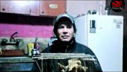 Duende capturado en San Juan Argentina @OxlackCastro