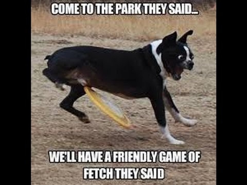 INCREIBLE VIDEO INFRAGANTE NUNCA ANTES VISTO