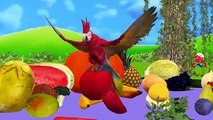 Learn Fruits Names For Children | Fun Learning Vegetables Names For Kids | Best Preschool Learning