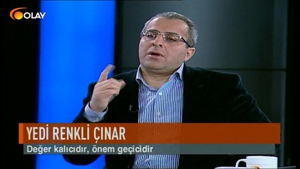 Yedi Renkli Çınar 23 12 2016
