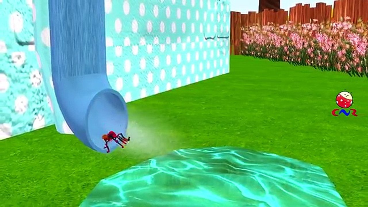 Itsy Bitsy Spider Rhyme for Children #Cartoons | Itsy Bitsy Spider Nursery Rhymes for Babies & Kids