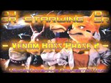 Starwing - Venom Boss Phase 2 [DJ SuperRaveman's Orchestra Remix]