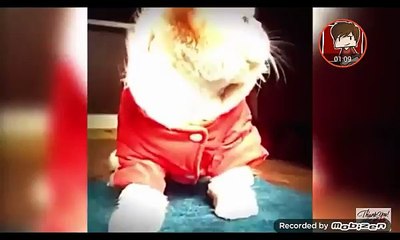 ESSAYER DE NE PAS RIRE !! #2