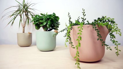 Ce pot de fleur intelligent va vous changer la vie ! Et celle de vos plantes !