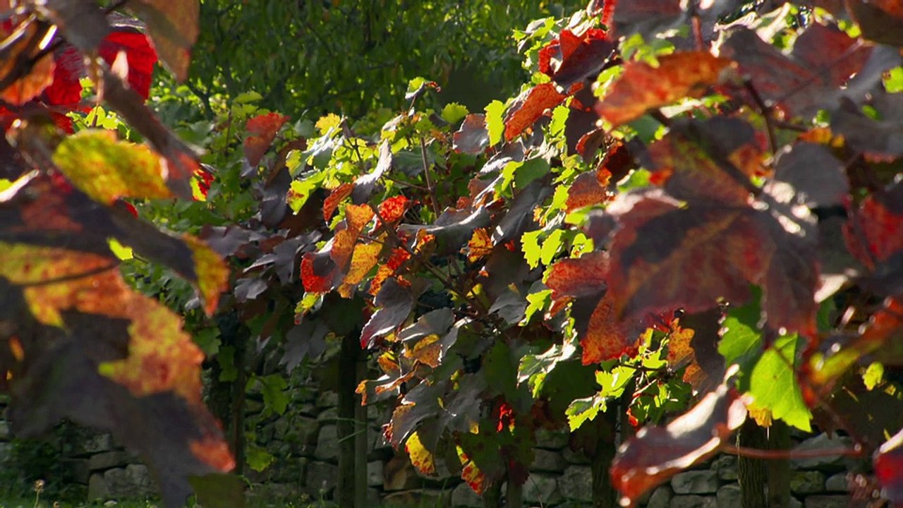 Sekthaus Raumland-Der Perlkönig-made in Südwest