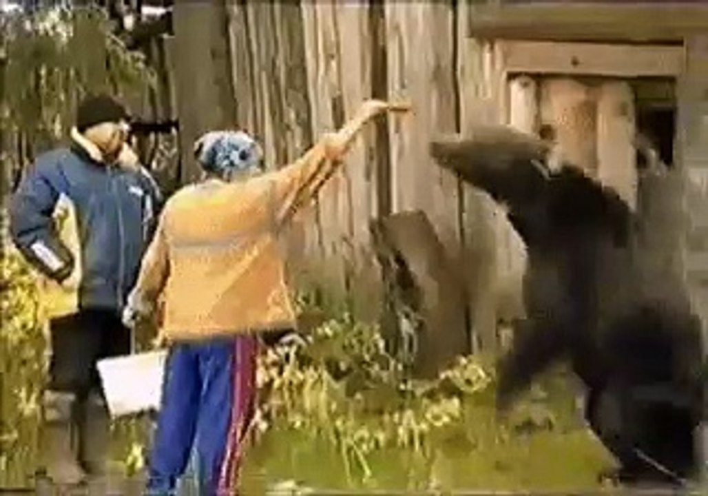 Bear