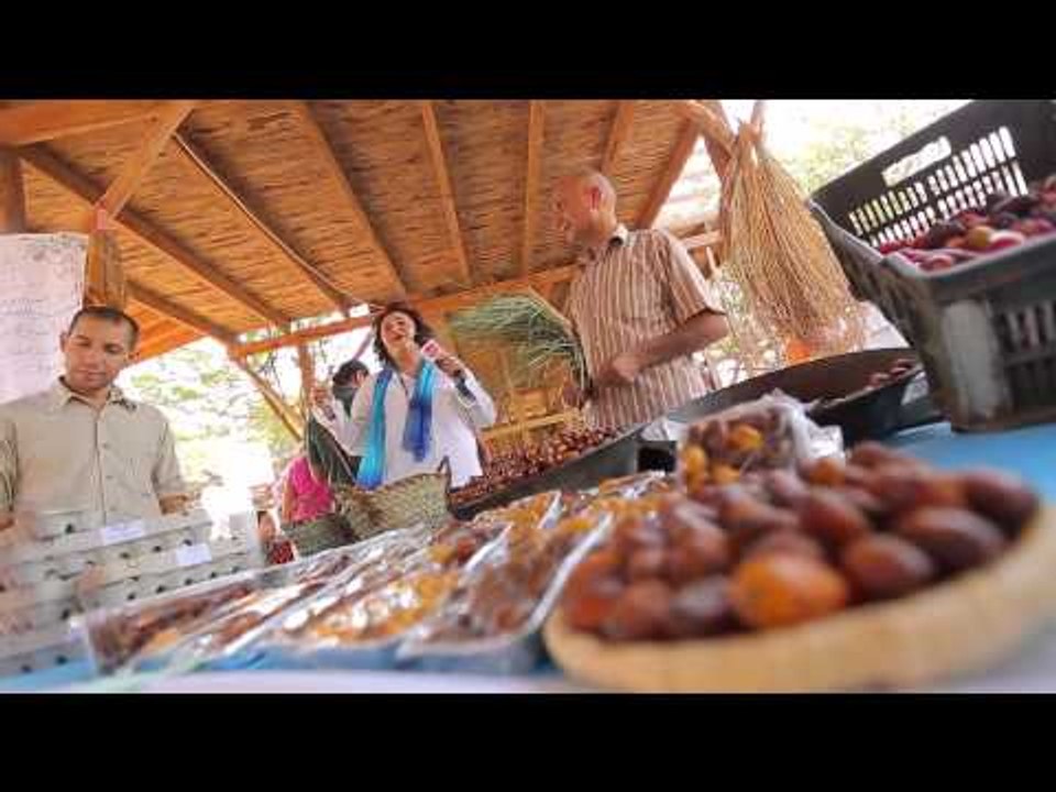 حلقة خاصة عن التمر | عيش وملح حلقة كاملة
