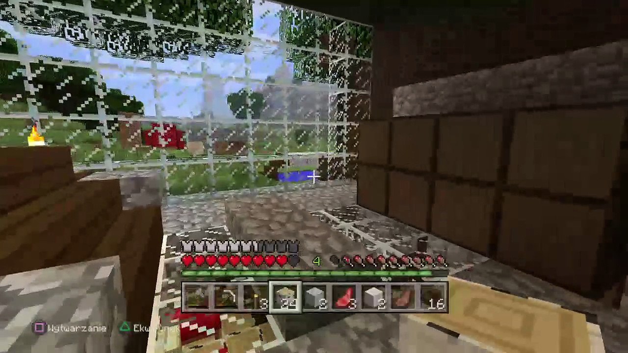 MInecraft Ginsess (10)