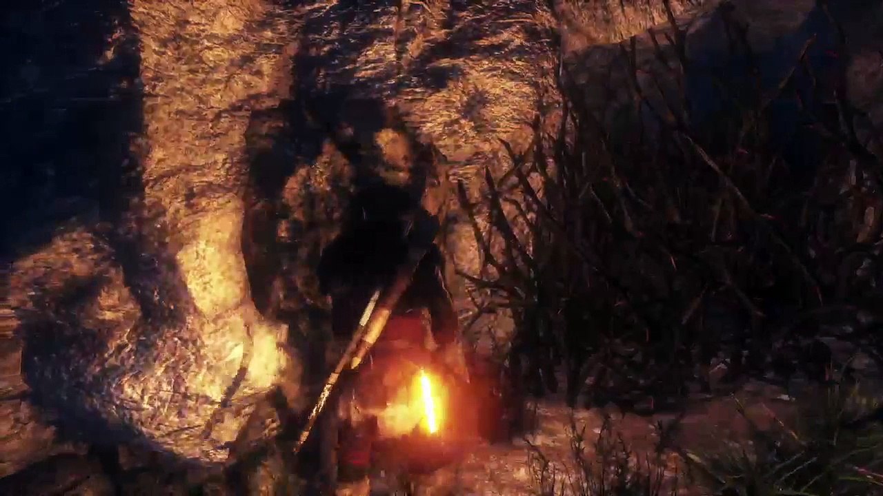 PS4-Pro Live-Übertragung von grayfox173 (8)