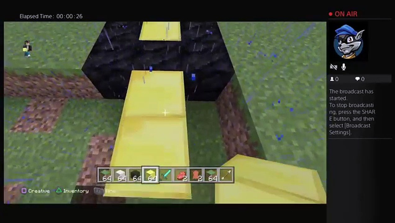 Minecraft (6)
