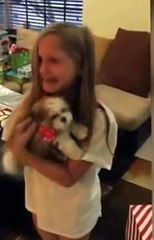 Puppy Surprise Compilation four
