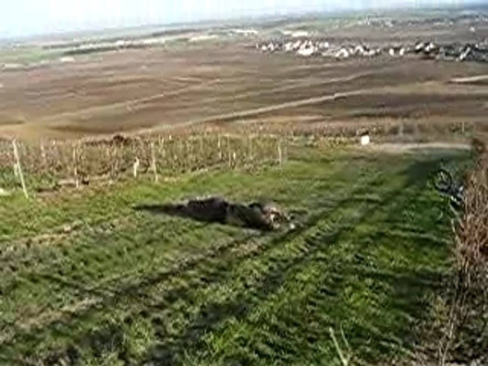 Une belle chute