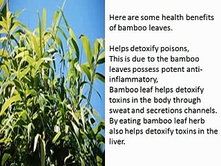 amazing benefits bamboo