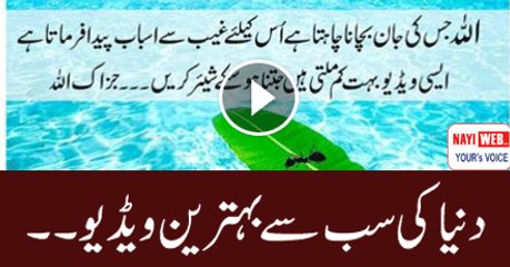 God wants to save for the future, which means Creator The video can be rarely share the kryn.jzak