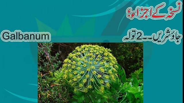 Girls health tips in urdu Hamal ki hifazat Hamal jis aurat k hamal na theherta ho pregnant