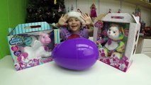 CUTE Pony Surprise Toys & Colorful Bear Toy Surprises Giant Egg Surprise Opening Disney Pri