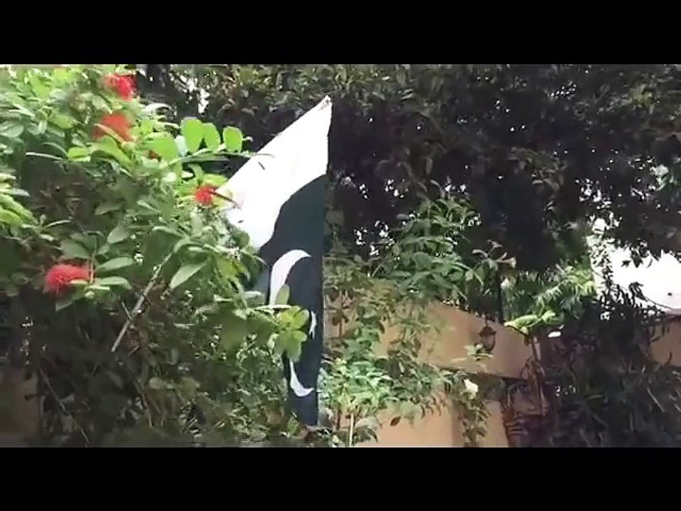 Bekaar Vines - Keep that Flag up high!!