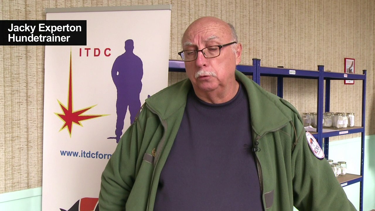 Hunde sollen Brustkrebs erschnüffeln