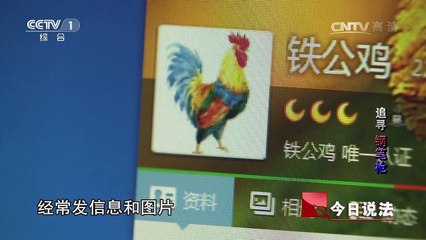 《今日说法》 20161227 追寻“钢笔枪”