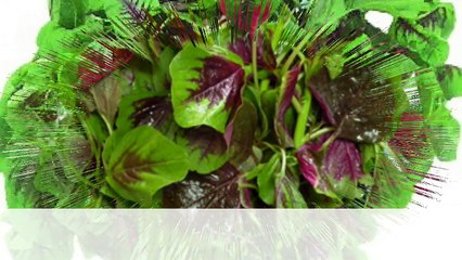 Amaranth, common purslane - longevity vegetables