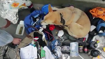 Ripped Homeless Bodybuilder