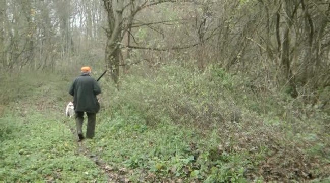 Chasse de la bécasse