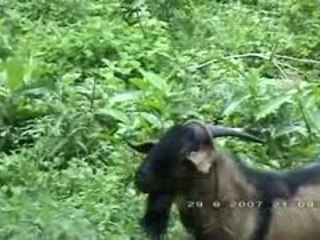 huling araw sa pulang lupa(part 1)