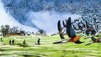 5 loài tưởng chừng tuyệt chủng có thể vẫn tồn tại