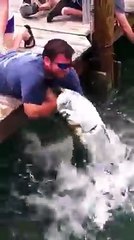 Funny Videos 2016- Must Watch Funny Clips