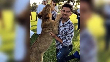 Enzo Zidane feeds a tiger