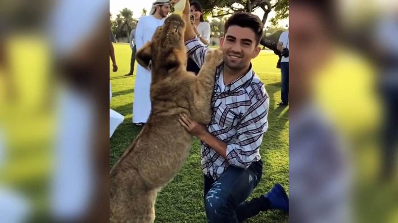 Enzo Zidane feeds a tiger