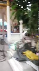 Déchirant.... Cette chienne s'approche de ce vendeur ambulant pour lui demander à manger. Mais quand il va la suivre, il