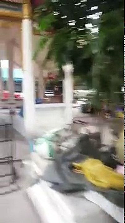 Déchirant.... Cette chienne s'approche de ce vendeur ambulant pour lui demander à manger. Mais quand il va la suivre, il