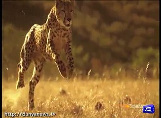 Government hospitals given holiday despite imposition of emergency due to Chikungunya