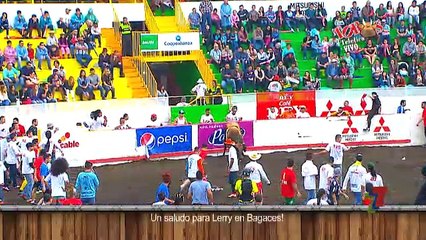 Toros 26 Diciembre 2016