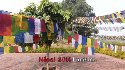 Népal 2016, le Terai - Lumbini et Chitwan