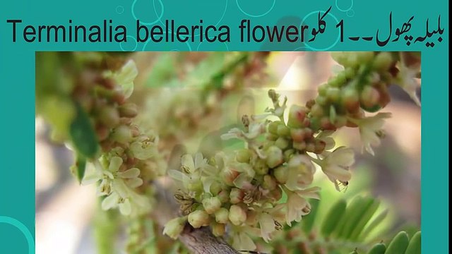 Balon Safed balo ko kala karne ka tarika Black hair tips in urdu Safed baal Black hair tips