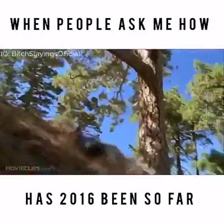 very funny video 2017